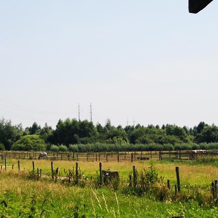 Ruime Romantische Blokhut Zwaanshoek Dış mekan fotoğraf
