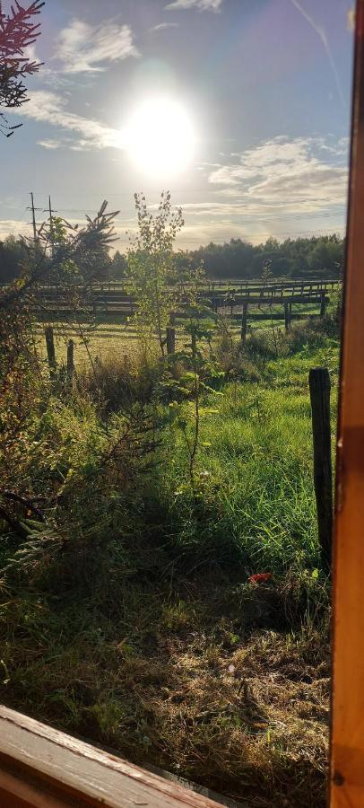 Ruime Romantische Blokhut Zwaanshoek Dış mekan fotoğraf
