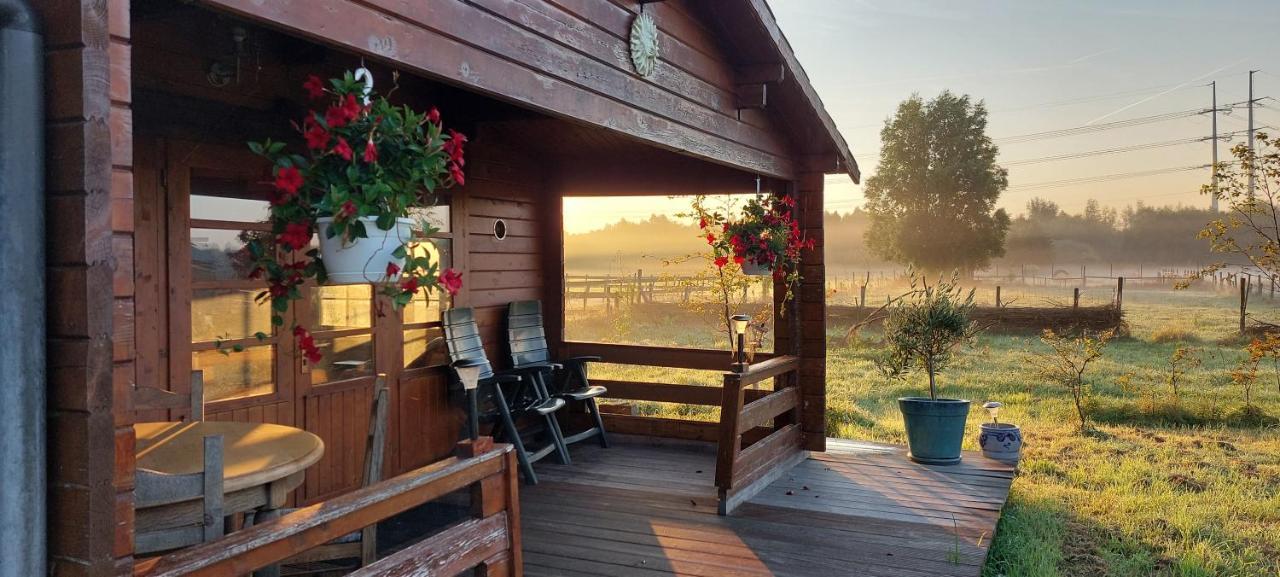 Ruime Romantische Blokhut Zwaanshoek Dış mekan fotoğraf
